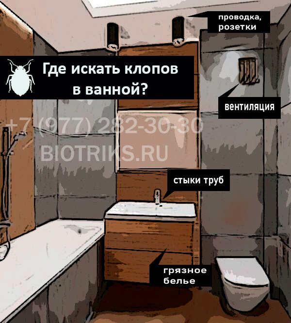 Где искать постельных и домашних клопов в ванной комнате квартиры в г. Москва?