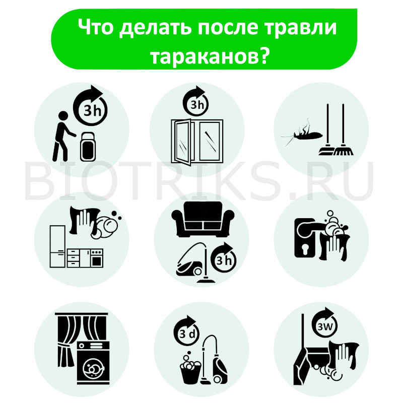 Что делать после дезинфекции квартир и помещений от тараканов в Электрогорске?