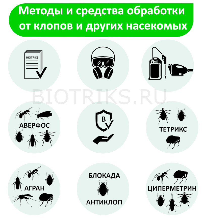 Методы и средства обработки квартир и домов от постельных клопов в Пушкино 
