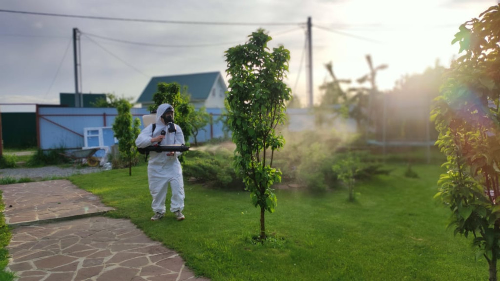Насколько опасны клещи на садовых и дачных участках пгт. Матушкино Зеленоградского района?