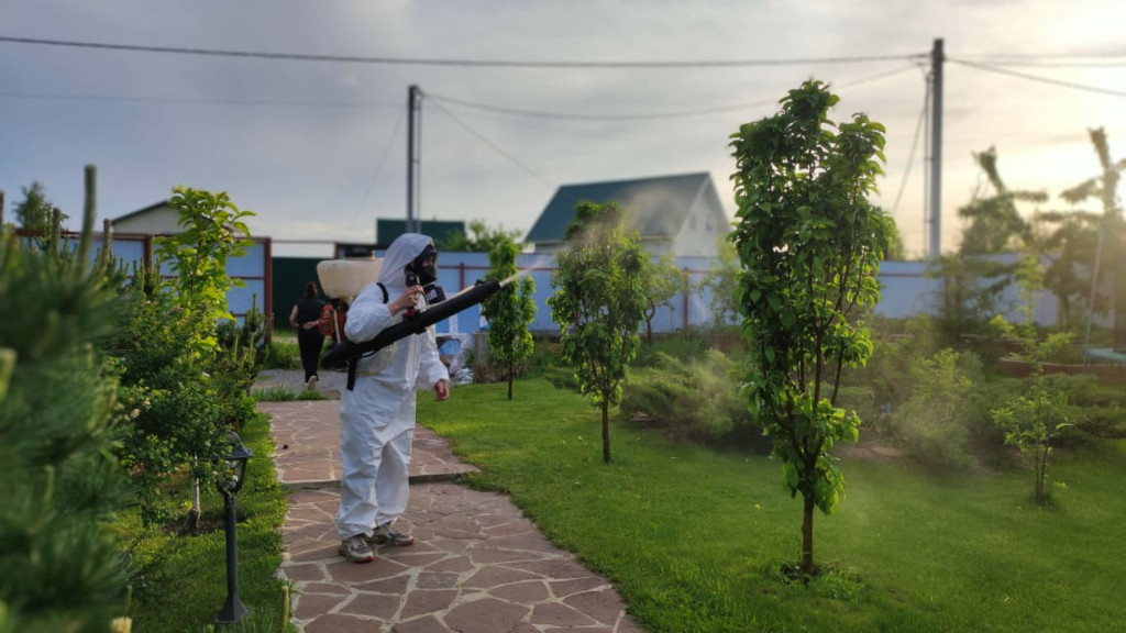 Уничтожение и обработка от клещей на участке в Видном - Biotriks
