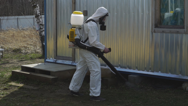 Обработка территории дачного участка от комаров в Подмосковье