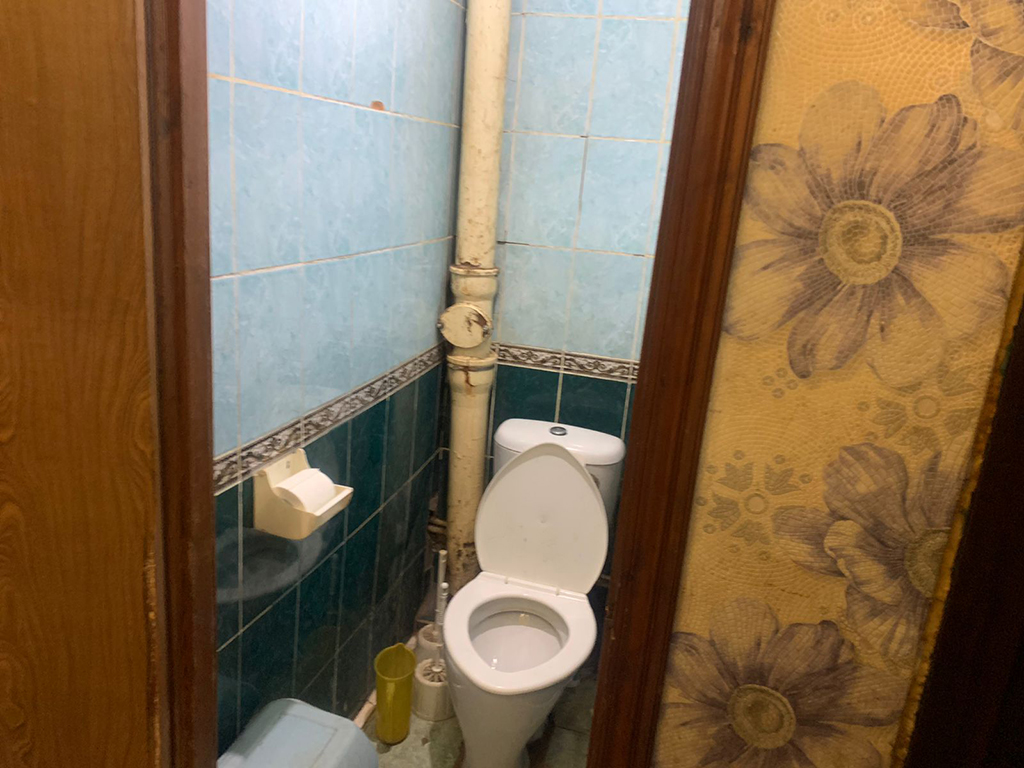Где стоит поискать клопов в туалете московских квартир?
