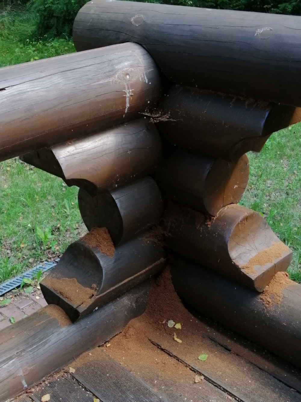 Уничтожение короеда, жука-точильщика и усача в Химках и Долгопрудном - как избавиться от насекомых в деревянном доме