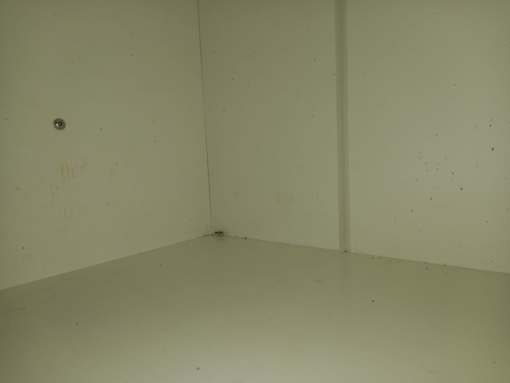 Уничтожение тараканов в Луховицах с обработкой квартир после дезинфекции