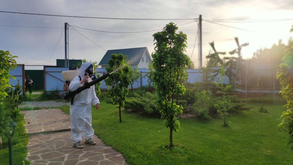 Качественная весенняя обработка деревьев в г. Ивантеевка и Пушкинском районе от насекомых и болезней весной