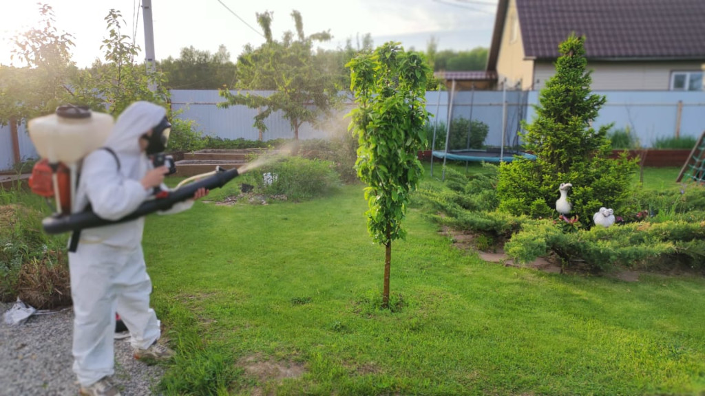 Весенняя обработка деревьев в г. Ивантеевка