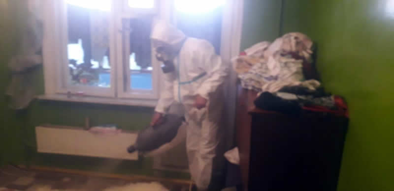 Уничтожение клопов в Балашихе - травля насекомых с последующей обработкой квартиры