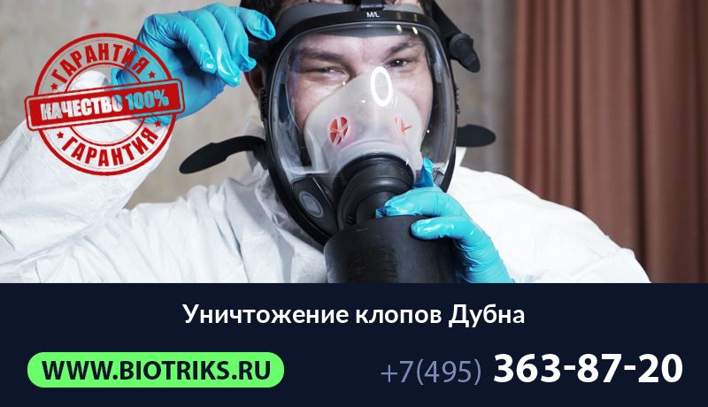 Уничтожение клопов Дубна