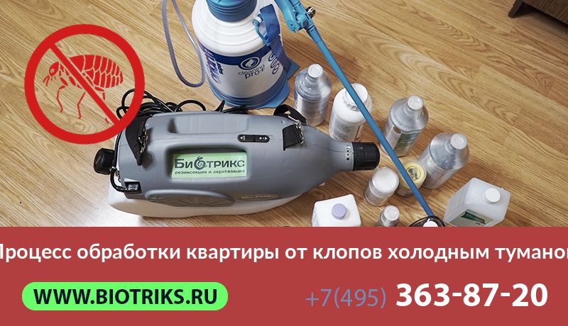 Процесс обработки квартиры от клопов холодным туманом