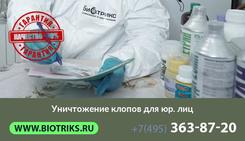 Уничтожение клопов для юр. лиц