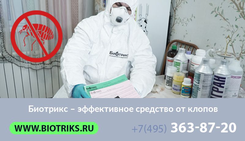 Биотрикс – эффективное средство от клопов