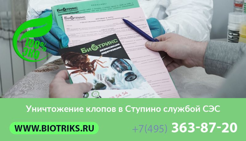 Уничтожение клопов в Ступино службой СЭС