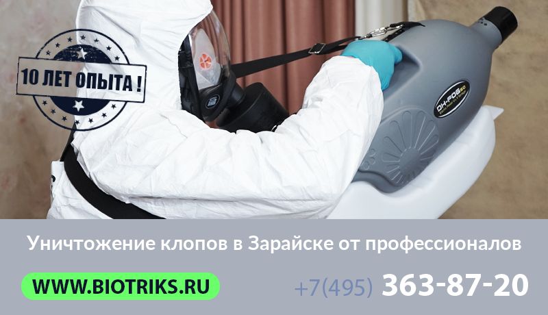 Уничтожение клопов в Зарайске от профессионалов