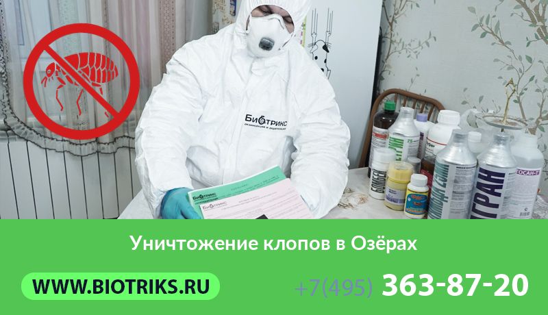 Уничтожение клопов в Озёрах