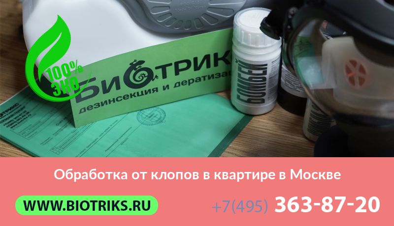 Обработка от клопов в квартире в Москве