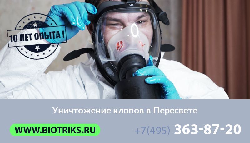 Уничтожение клопов в Пересвете