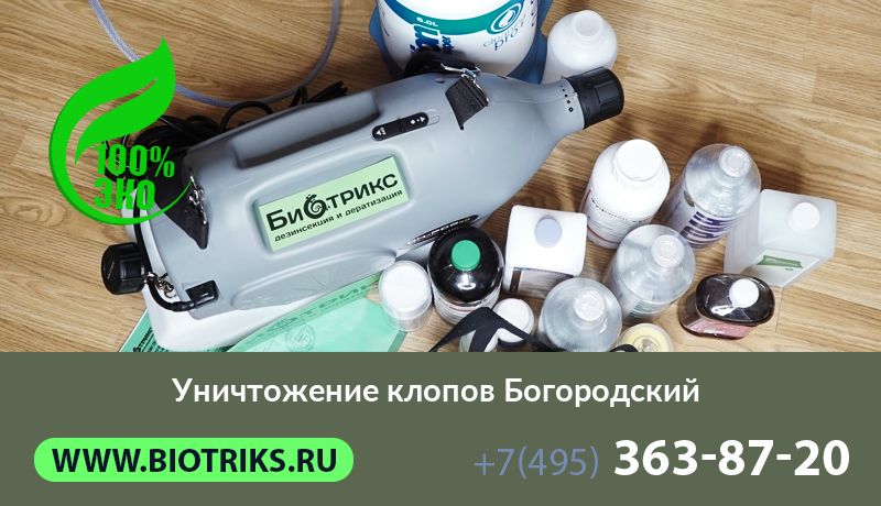 Уничтожение клопов Богородский