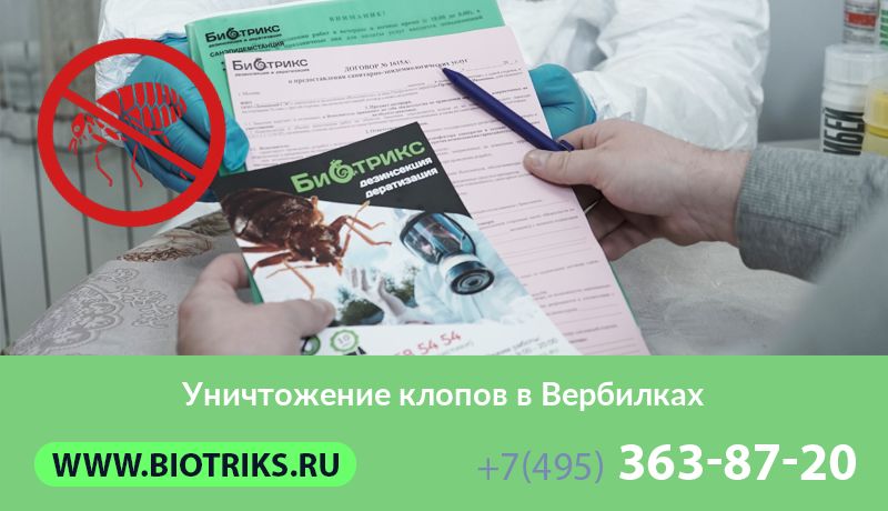 Уничтожение клопов в Вербилках