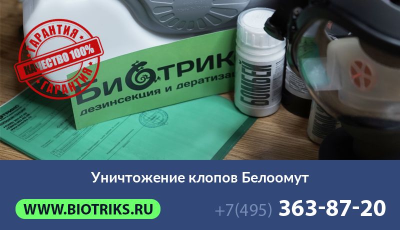 Уничтожение клопов Белоомут