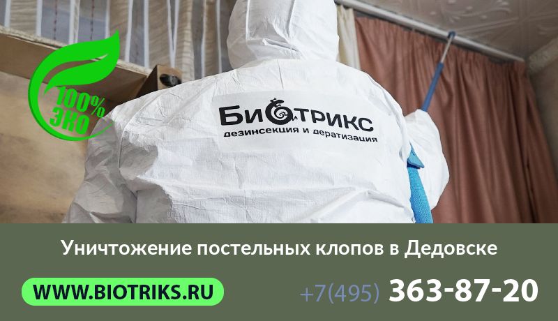 Уничтожение постельных клопов в Дедовске