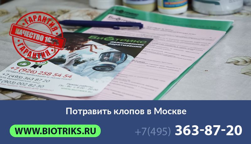 Потравить клопов в Москвe