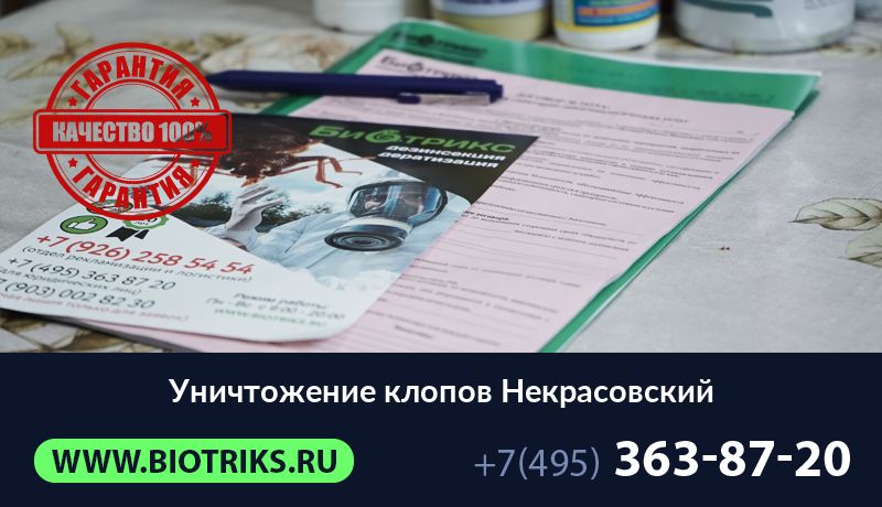 Уничтожение клопов Некрасовский