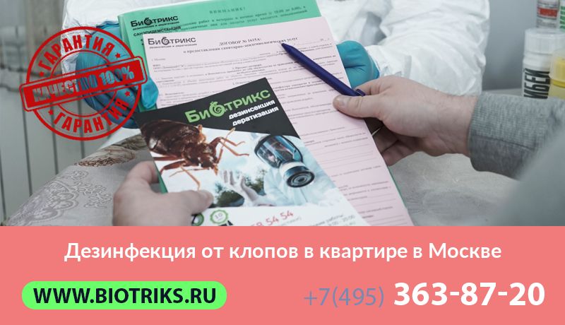 Дезинфекция от клопов в квартире в Москве