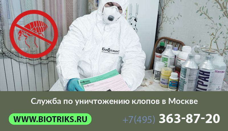Служба по уничтожению клопов в Москве