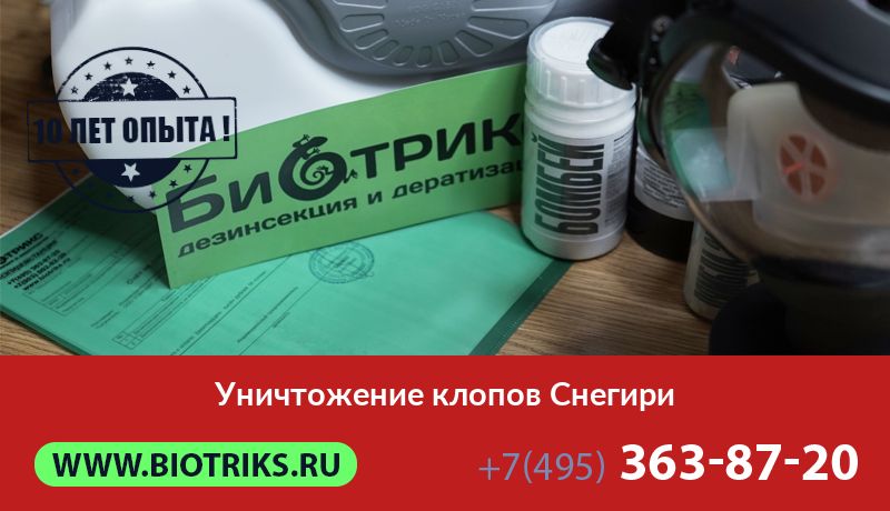 Уничтожение клопов Снегири