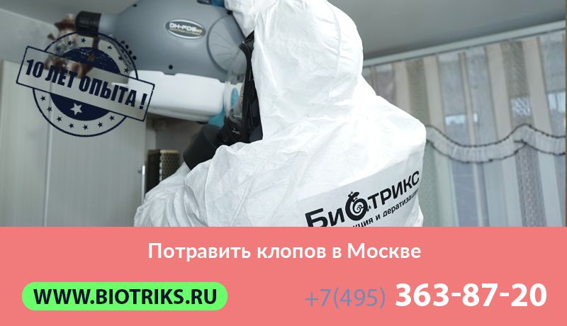 Потравить клопов в Москвe