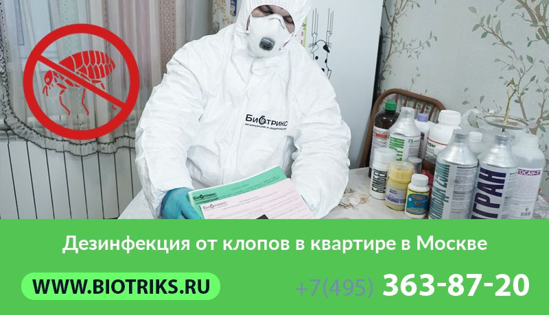 Дезинфекция от клопов в квартире в Москве