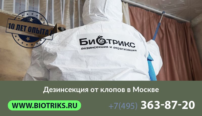 Дезинсекция от клопов в Москве