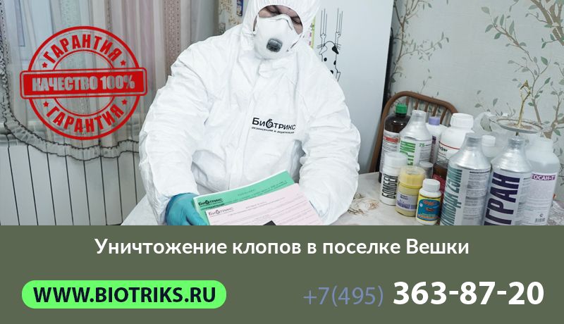 Уничтожение клопов в поселке Вешки