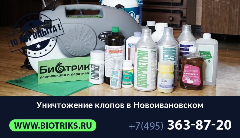 Уничтожение клопов в Новоивановском