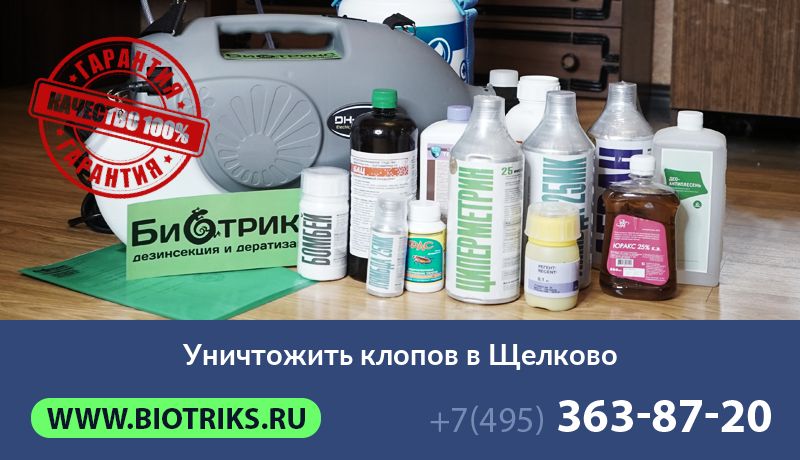 Уничтожить клопов в Щелково