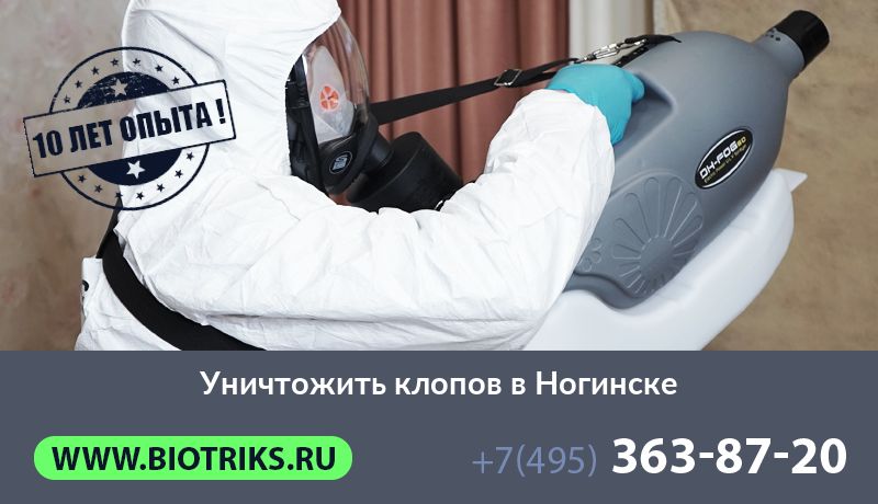 Уничтожить клопов в Ногинске
