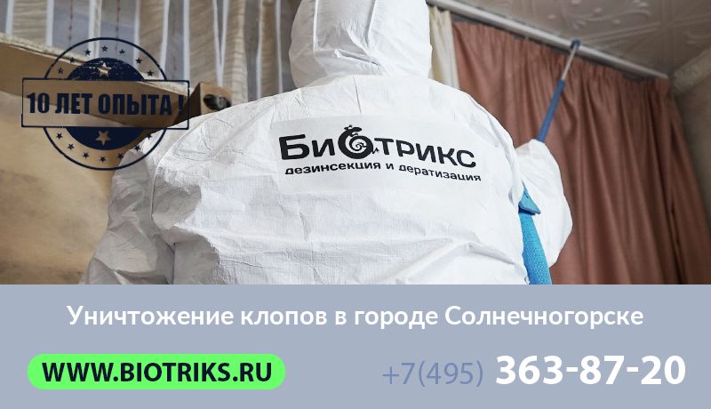 Уничтожение клопов в городе Солнечногорске