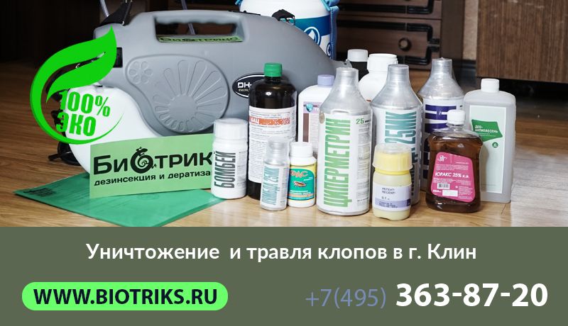 Уничтожение и травля клопов в г. Клин