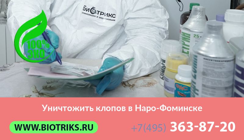 Уничтожить клопов в Наро-Фоминске