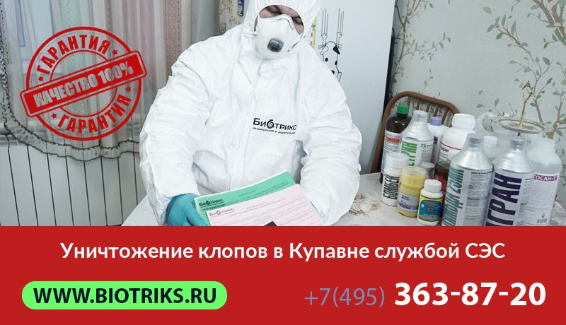 Уничтожение клопов в Купавне службой СЭС