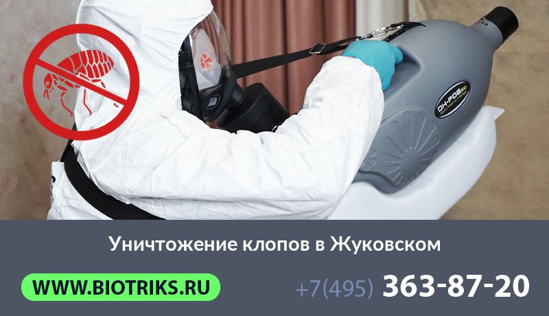 Уничтожение клопов в Жуковском