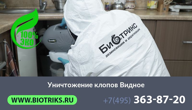 Уничтожение клопов Видное