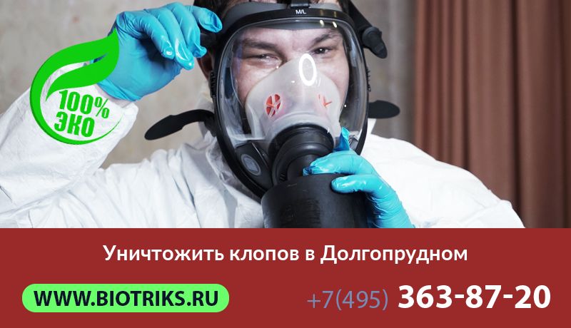 Уничтожить клопов в Долгопрудном