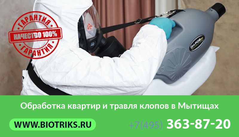 Обработка квартир и травля клопов в Мытищах