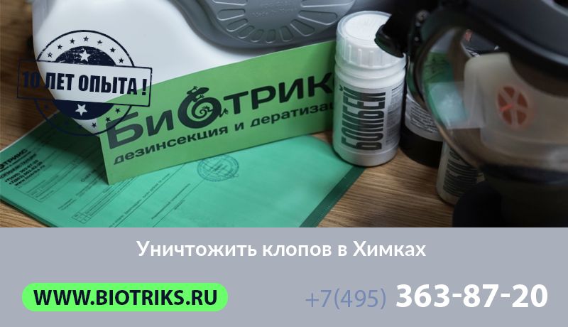 Уничтожить клопов в Химках