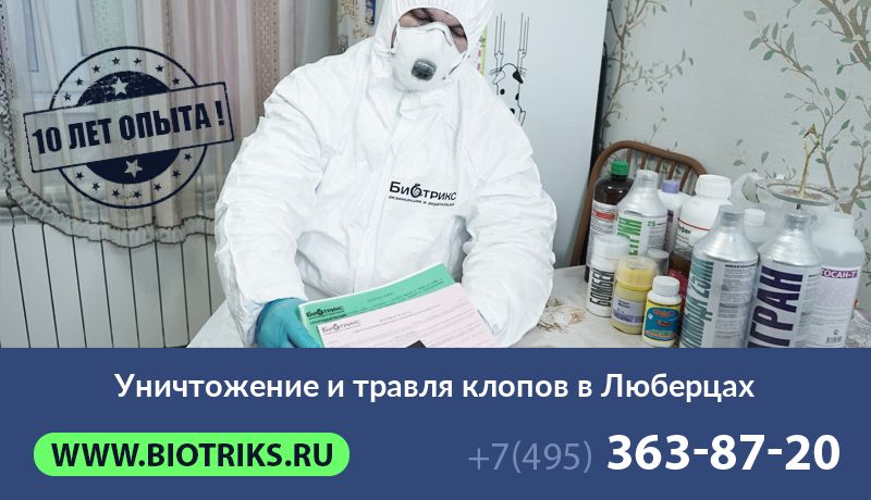 Уничтожение и травля клопов в Люберцах