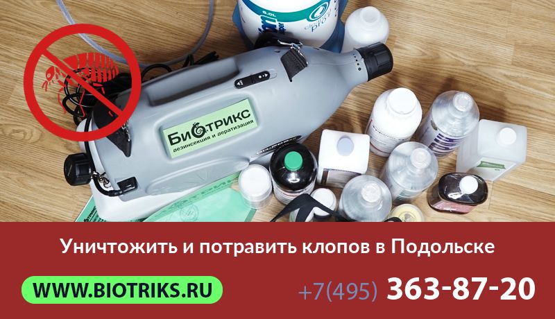 Уничтожить и потравить клопов в Подольске