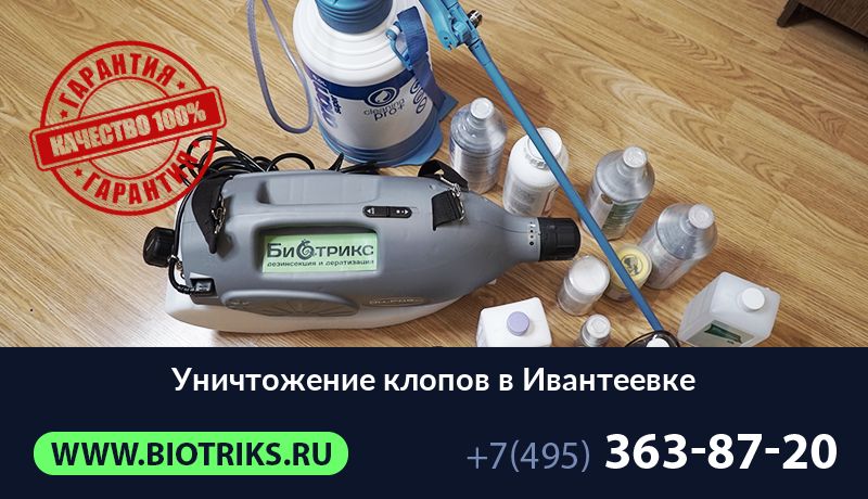 Уничтожение клопов в Ивантеевке