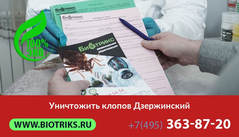 Уничтожить клопов Дзержинский